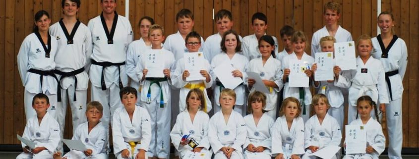 TSG Wilhelmsdorf Taekwondo Guertelpruefung Juli 2017