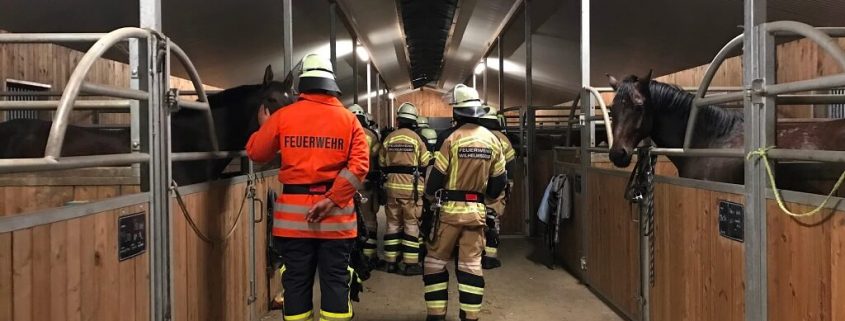 TSG Wilhelmsdorf Reiten Feuerwehrbegehung 2017