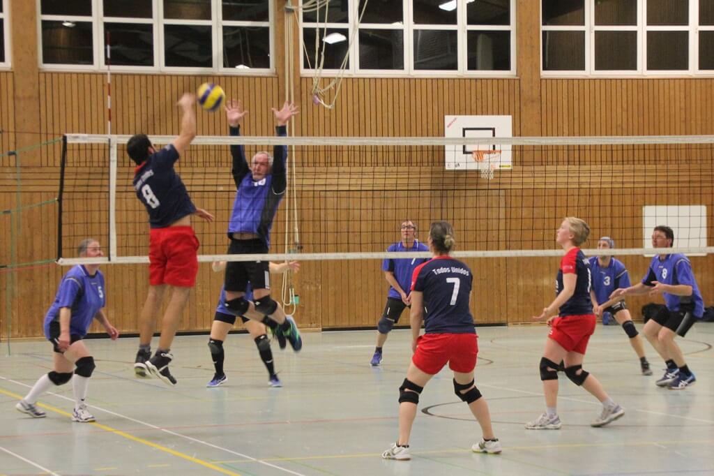 TSG Wilhelmsdorf Volleyball April 2018