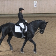 TSG Wilhelmsdorf Reiten