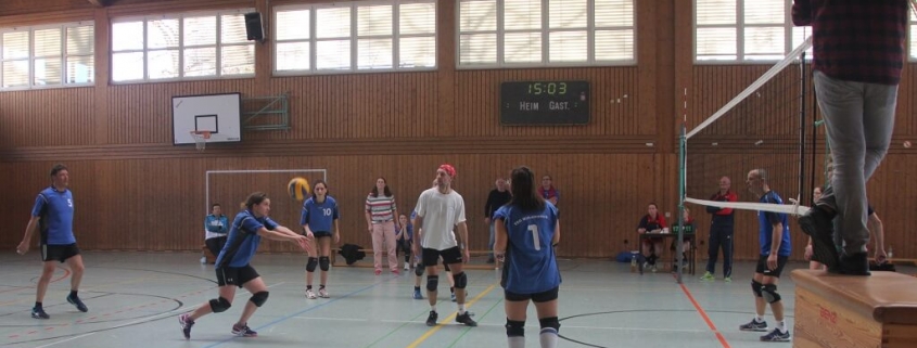 TSG Wilhelmsdorf Volleyball Spieltag Februar 2019